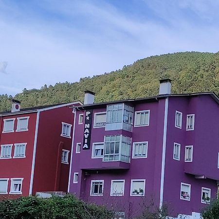 Pension Navia A Pontenova Zewnętrze zdjęcie